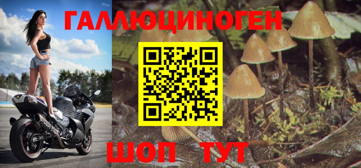 Кунгур  Псилоцибиновые грибы мицелий  Вход с VPN  что такое   Галлюциногенные грибы Magic Shrooms 