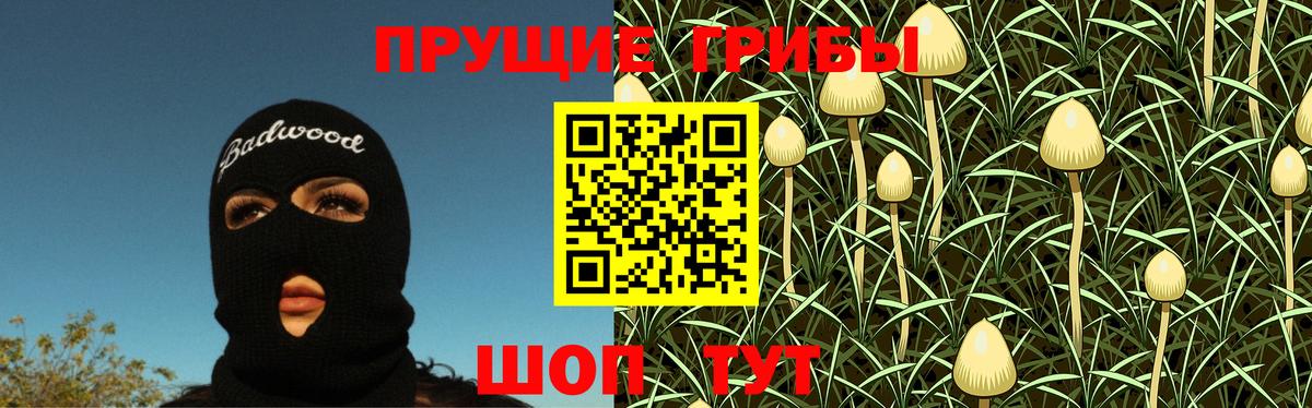 Псилоцибиновые грибы мухоморы Кунгур